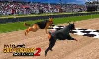 野生のグレイハウンド犬のレース 2 Screen Shot 1