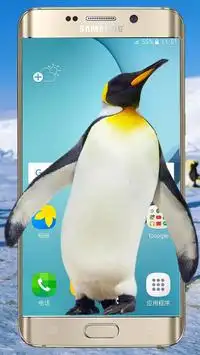 Penguin live on the screen(Prank) Screen Shot 1