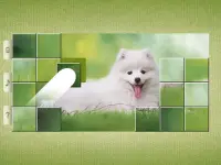 Dog Puzzles - Drag & Swap Screen Shot 14