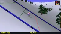 Deluxe Ski Jump 2 Screen Shot 4