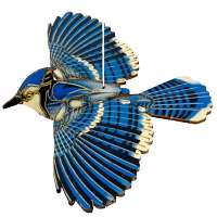 Blue Jay Flying