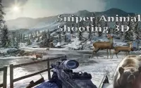 Sniper Animal Shooting Game 3D Screen Shot 2