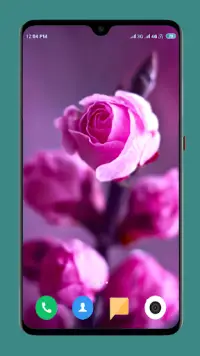 Flowers Wallpaper 4K Screen Shot 12