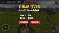Dinosaur Game - Tyrannosaurus Screen Shot 3