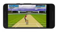 Cricket Mini Simulator Screen Shot 5