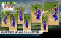 Champions Cricket Screen Shot 3