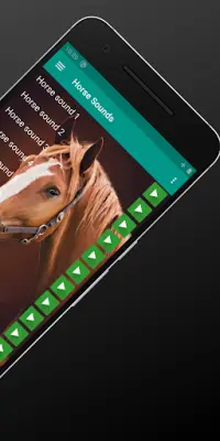 Horse Sounds and Ringtone free Screen Shot 1