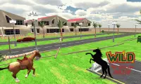 Wild Pony Horse Run Simulator Screen Shot 2