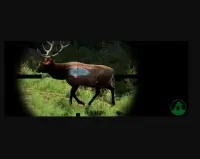 2020 हिरण शिकार क्लासिक अफ्रीकी 3 डी स्पोर्ट शूटर Screen Shot 8