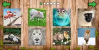 पशु पहेली खेल - Animal puzzles Screen Shot 1