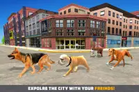 Dog Family Simulator Game: Life of Dog Screen Shot 8