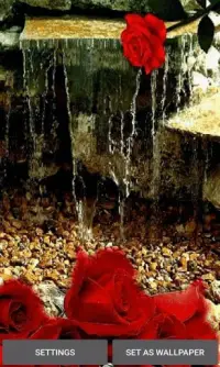 Rose Waterfall Live Wallpaper Screen Shot 0