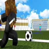 Soccer Mod  (Playing Football in Minecraft)