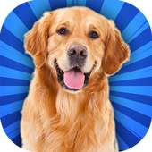 Virtual Puppy & Dog Adventure : My Family Pet Game