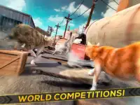 3D Cat Simulator Game For Free Screen Shot 5