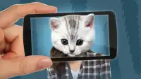 Escáner de la cara: Qué gato 2 Screen Shot 2