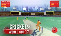 Cricket Cup Screen Shot 2