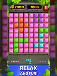 Block Puzzle Guardian Screen Shot 7