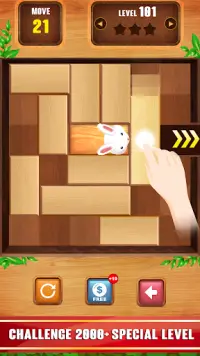 Unblock  Puzzle Wood Game Screen Shot 1