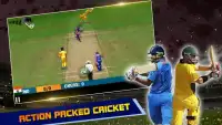 IND vs AUS Cricket Game 2017 Screen Shot 1