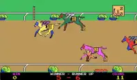 Horse Racing Screen Shot 16