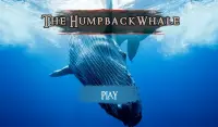 The Humpback Whales Screen Shot 9