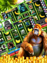 Gorilla King Slots Jungle Screen Shot 0