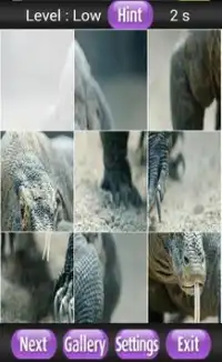 Komodo Dragon Screen Shot 3