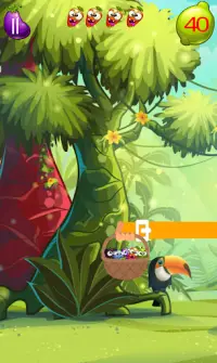 Catch Crazy Fruit Screen Shot 6