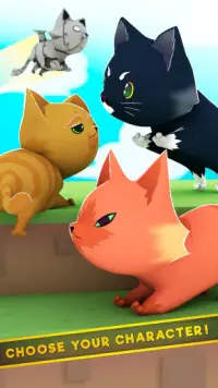 Simulador de gato 3D Olá: Cute grátis Kitty Arena Screen Shot 5