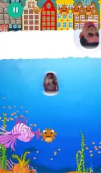 Angry Blowfish FREE HD Screen Shot 1