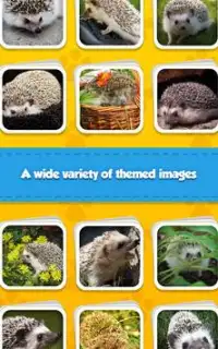 Baby Hedgehog - Jigsaw Puzzle Screen Shot 3