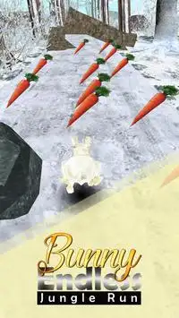 Forest Bunny Run :Bunny Game Screen Shot 4