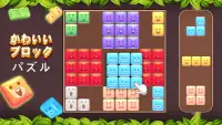 ブロックパズル：人気のパズルゲーム-テトリス-簡単なゲーム Screen Shot 6