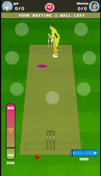 Cricket Online Play with Friends Screen Shot 2