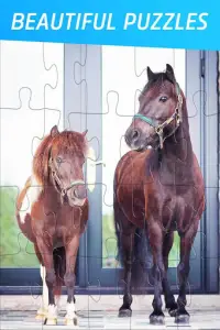 Pony Puzzles: Pony and Horse Jigsaw Puzzles Screen Shot 0