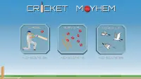 Cricket Mayhem: 2D Cricket Screen Shot 0