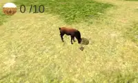 Horse Life Screen Shot 2