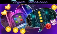 Best Escape Game -431- Tiger Rescue Game Screen Shot 1