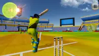 Cricket World Real Series Screen Shot 0