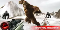 Angry King kong Attack-Wild Animal Shooting Screen Shot 4