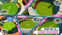 RVG Real World Cricket Game 3D Screen Shot 6