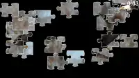 Bird Jigsaw Puzzles Screen Shot 1