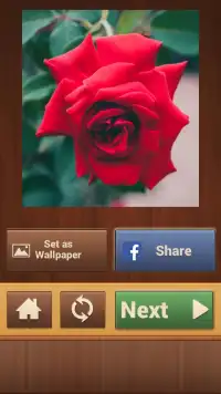 Roses Jigsaw Puzzles Screen Shot 5