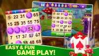 Bingo Fun - Offline Bingo Game Screen Shot 0