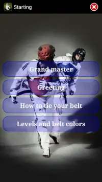 Taekwondo ITF Screen Shot 3