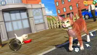 Cat Simulator Kitty Pet Care Screen Shot 2
