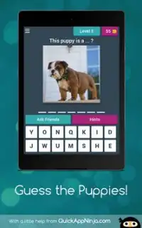 Guess the Puppies! Screen Shot 17