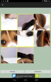 Puppy Dog Games Free Screen Shot 3