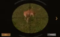 Jungle Sniper Hunter Screen Shot 3